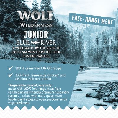 Wolf of Wilderness Junior 