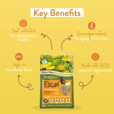 Burgess Excel Futterheu mit Löwenzahn und Ringelblume