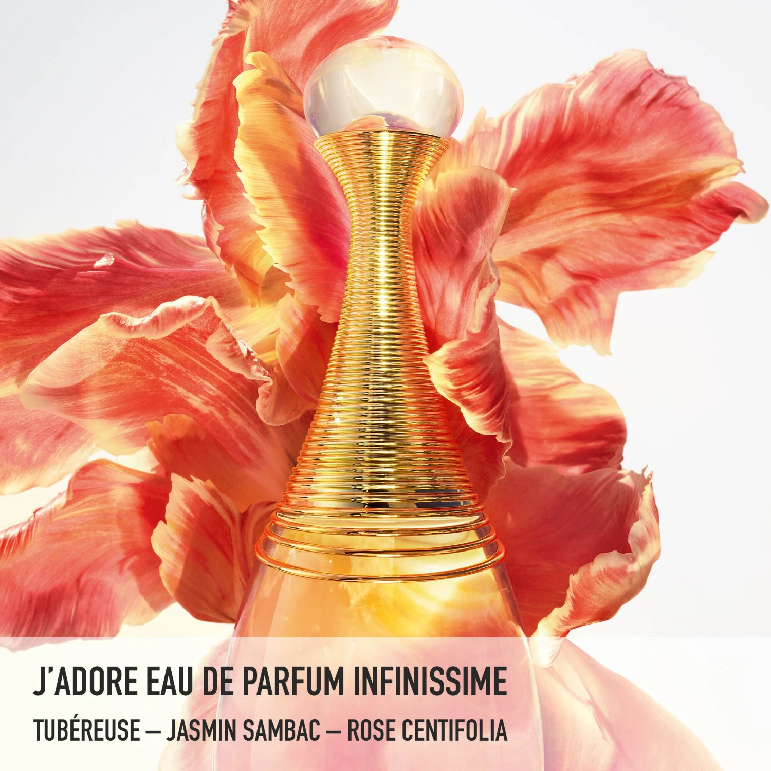 DIOR Infinissime - Notes hespéridées, fleuries et boisées