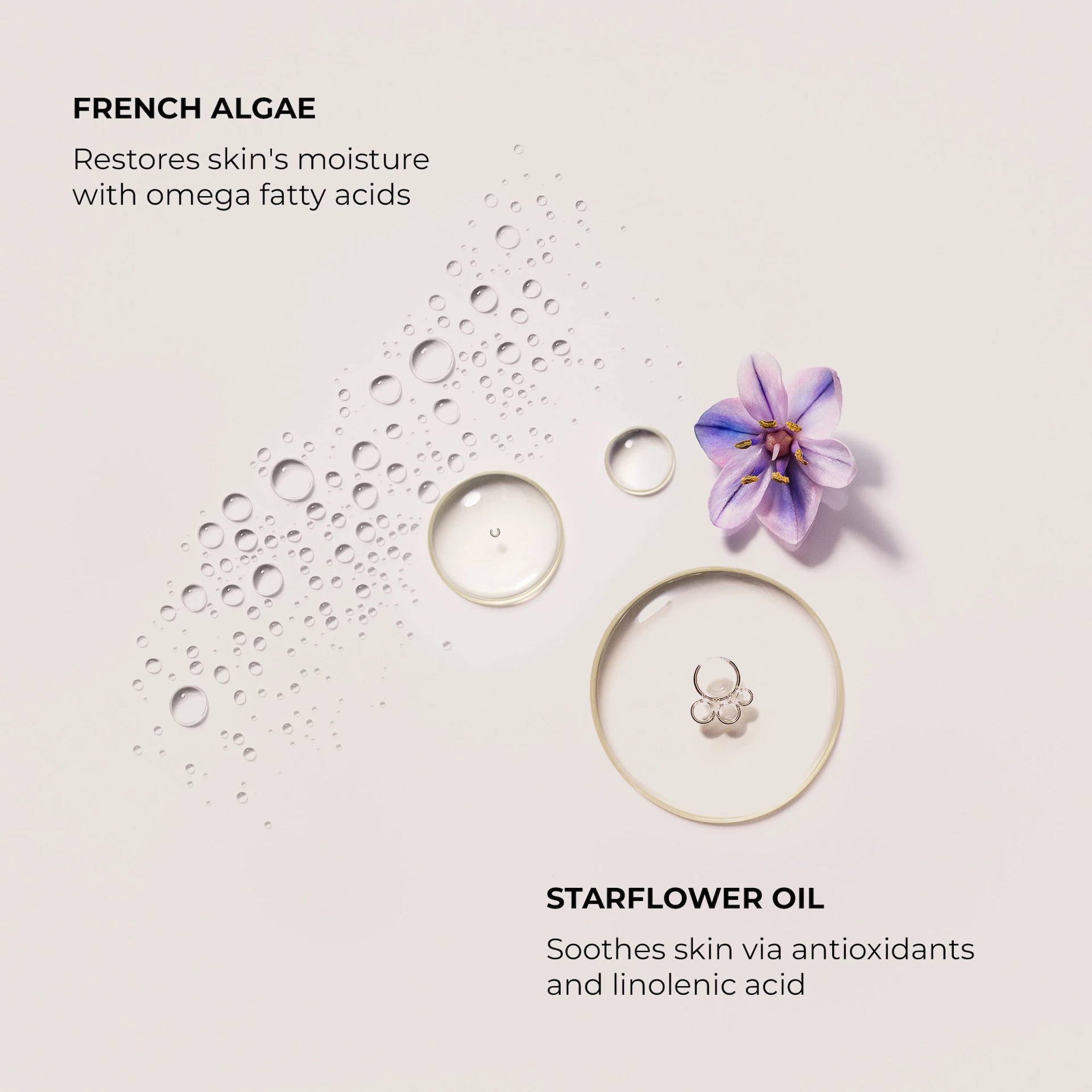 Mandulás-kókuszos szérum testápoló krém 200 ml - Laura Mercier