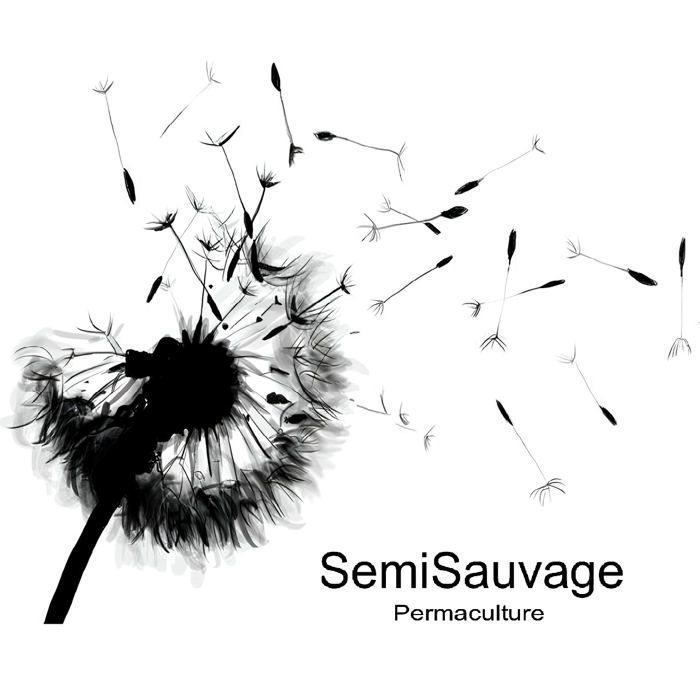 semillas de albaricoque común (Prunus armeniaca) - Permacultura semi-silvestre - Semillas de polinización abierta