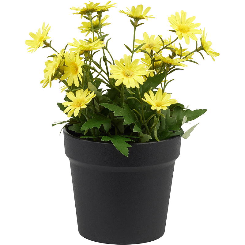 Hjem Daisy 27 cm
