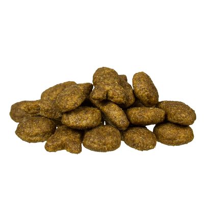 Bosch Adult mit Fisch & Kartoffel Trockenfutter für Hunde