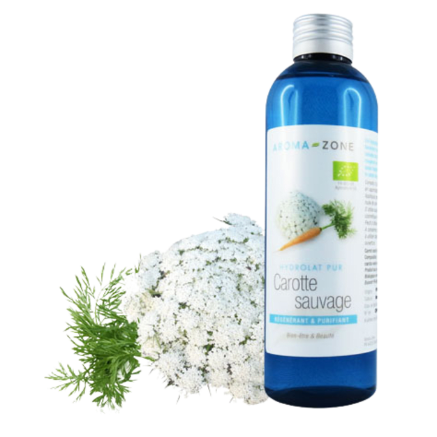 Hydrolat de Carotte sauvage BIO