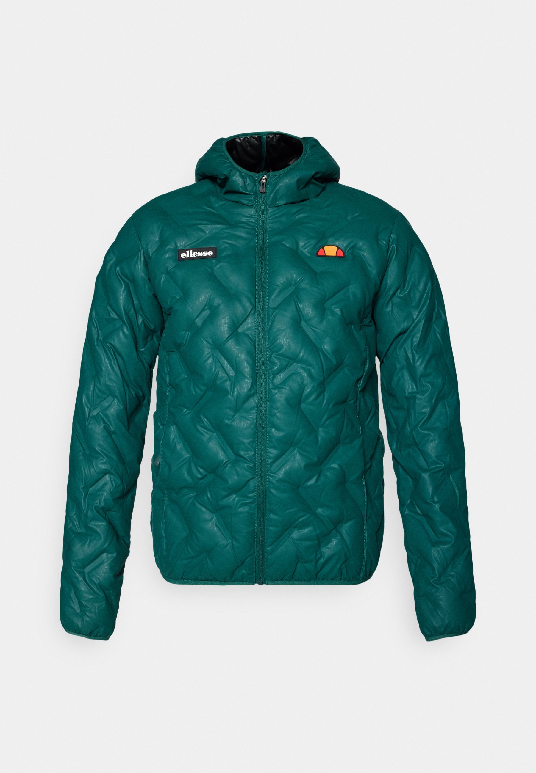 Ellesse STANNETTI - Kurtka zimowa - ciemnozielony