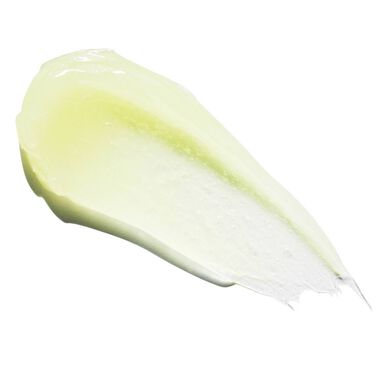 Kiehl's Lip Balm 1 Petrolatum Skin Protectant balzám na rty do chladného počasí 15 ml
