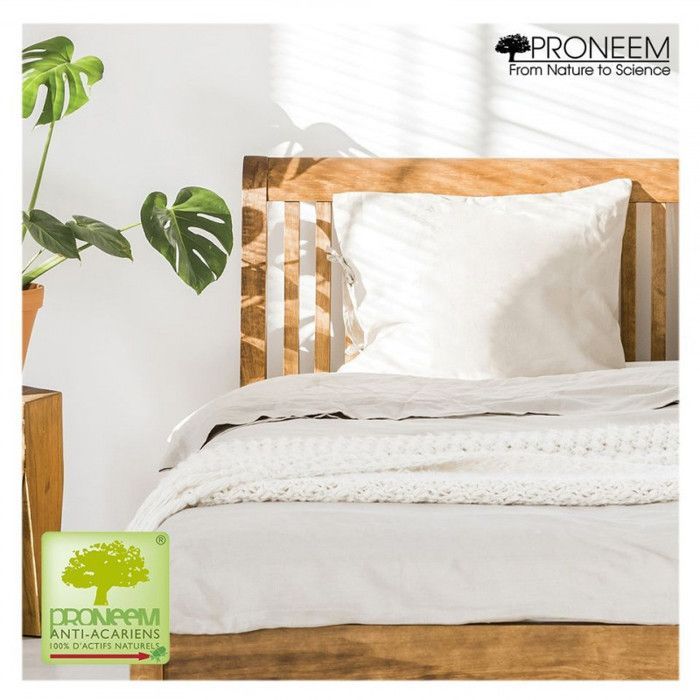 Juego de 2 almohadas suaves antiácaros Proneem® Fibre VOLUPT'AIR® Dodo - Juego de 2 almohadas de 50 x 70 cm