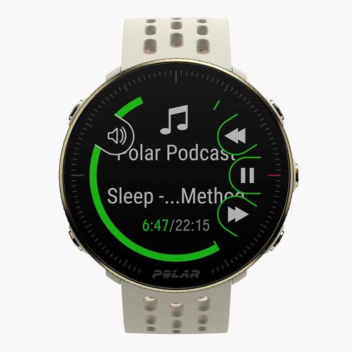 Polar Vantage M2