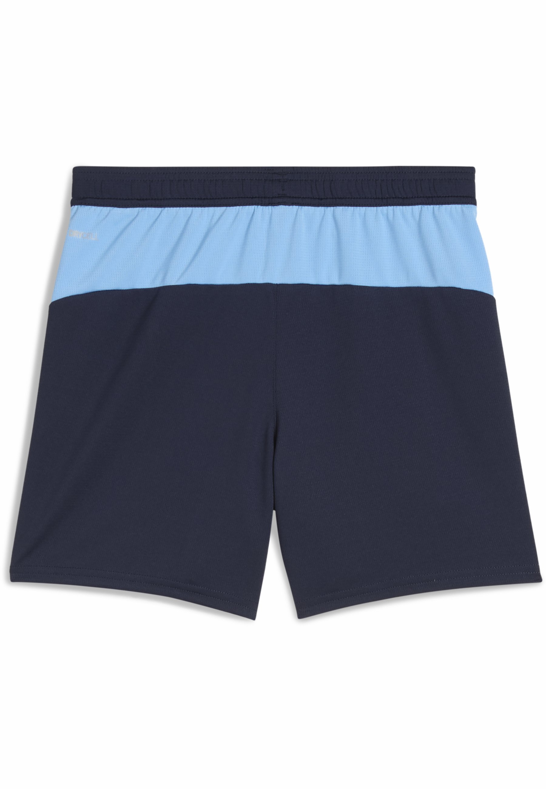 Puma MANCHESTER CITY - Vereinskleidung - Dunkelblau Team Hellblau