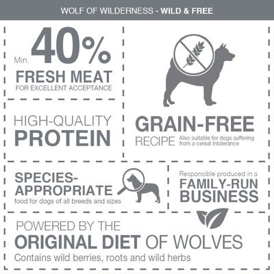 Wolf of Wilderness Adult Mini 