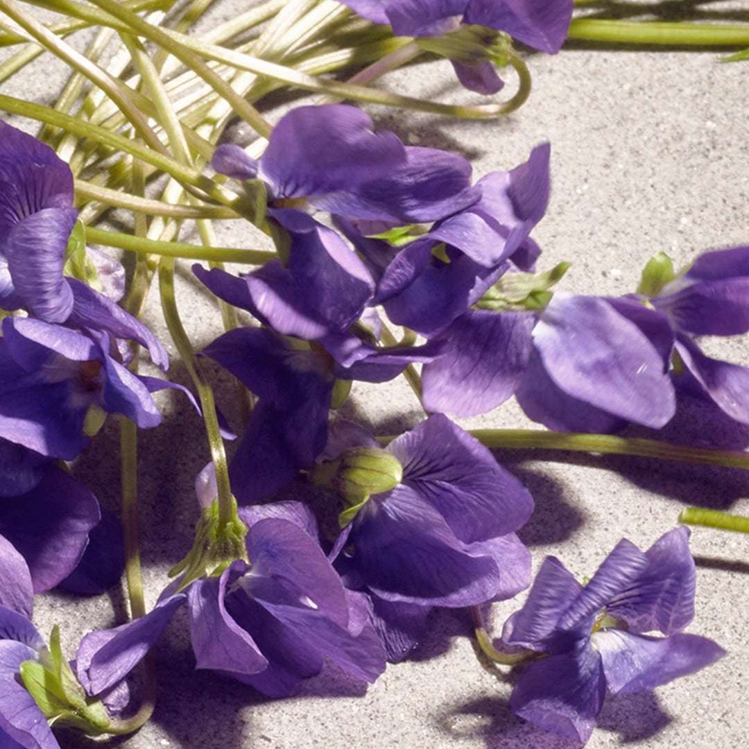 Dolce&Gabbana smaržūdens Dolce Violet – 50 ml