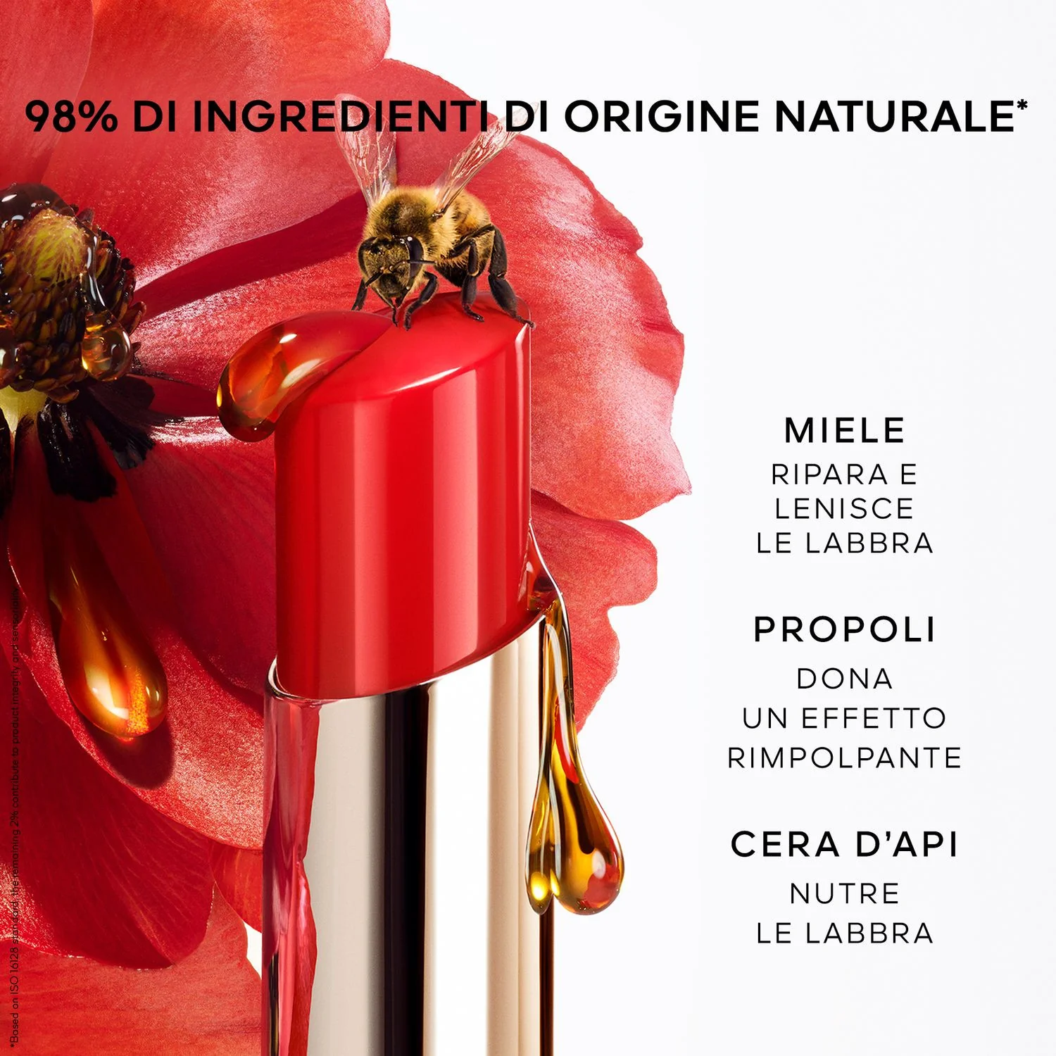 Labbra KissKiss Bee Glow - Balsamo Labbra, Rossetto