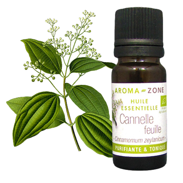 Huile essentielle Cannelle de Ceylan feuilles BIO 10ml