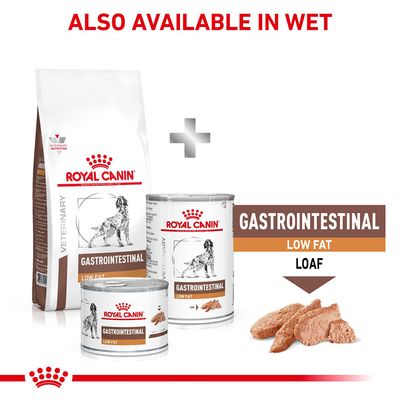Royal Canin Vétérinaire Canin Gastro-intestinal Faible en gras