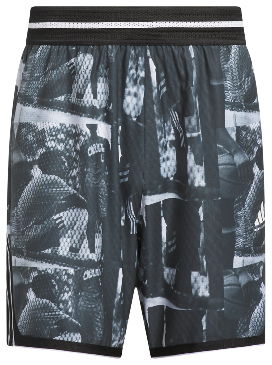 adidas Bbold