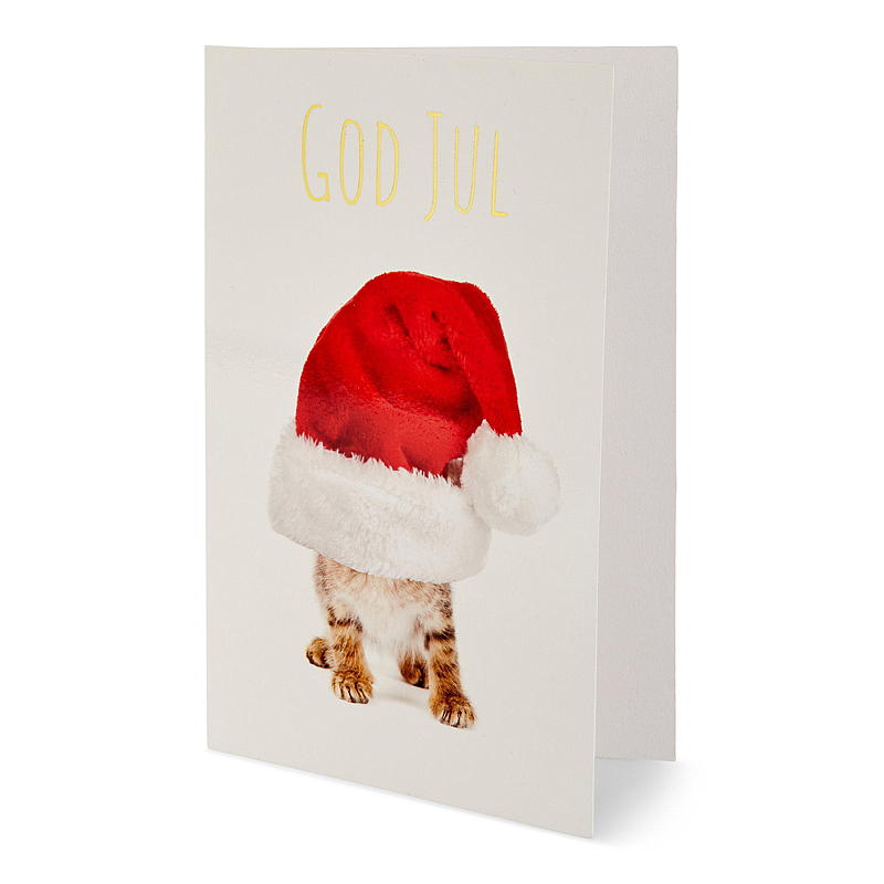 Biglietto di auguri natalizio Buon Natale, gatto con cappello