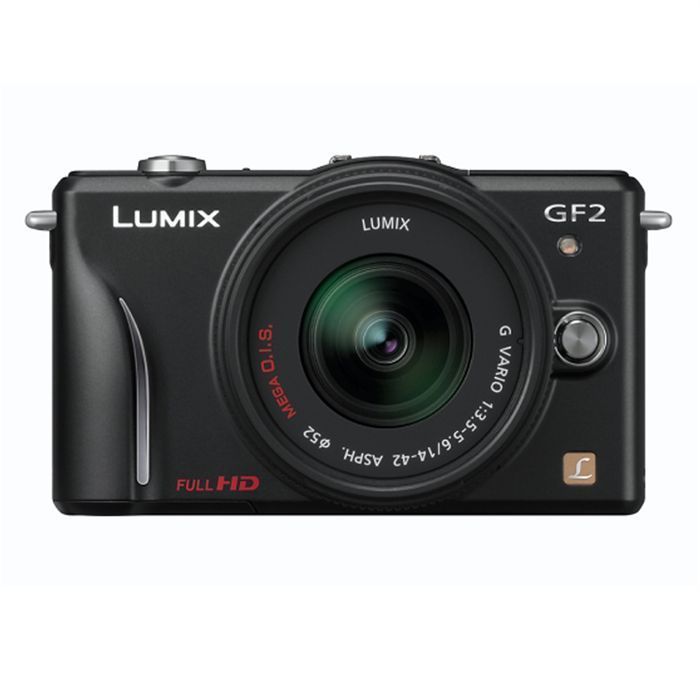 PANASONIC DMC-GF2 + 14-42mm
