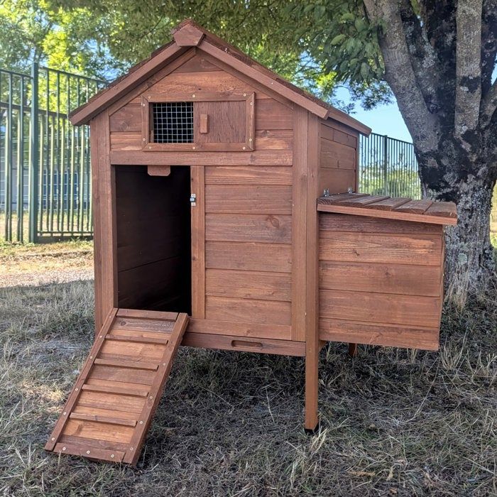 Petit Poulailler Bassette S 2 Poules