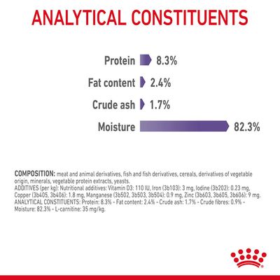 Royal Canin Appetite Control Care w galaretce