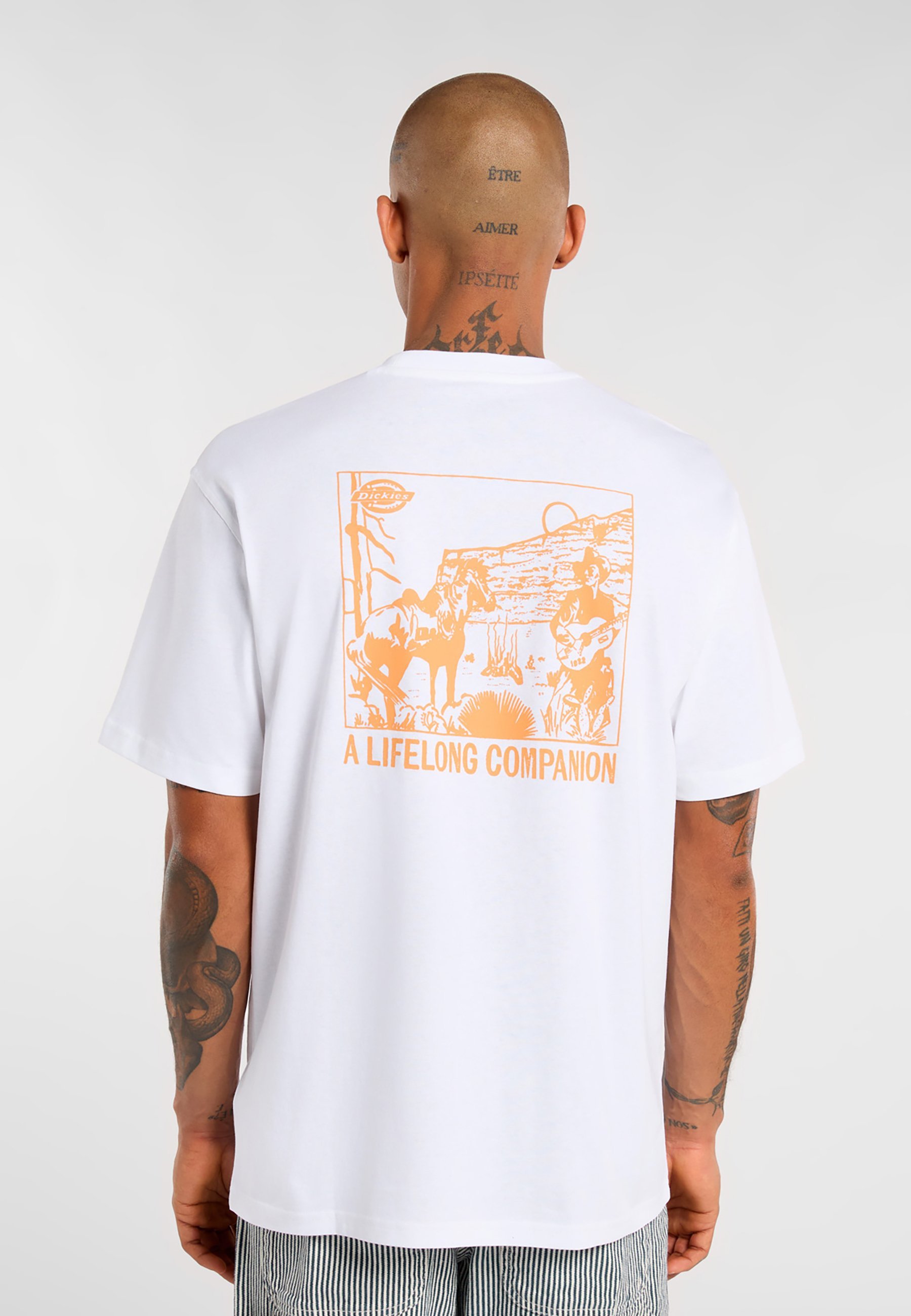 Tricouri imprimate Dickies