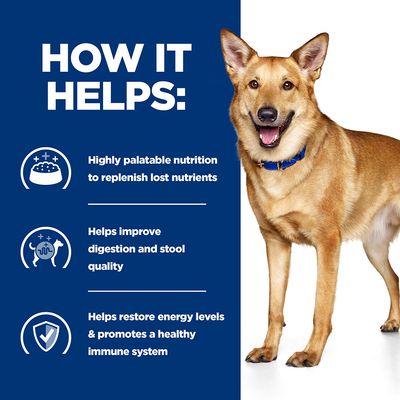 Hill's Prescription Diet Canine i/d Digestive Care Stew – kurczak
