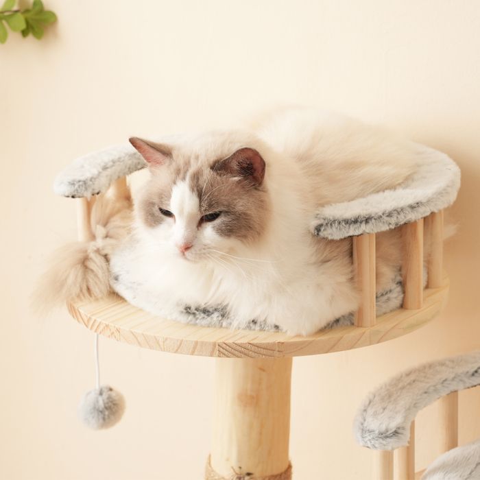 Árbol para gatos - Madera - Plataforma de 3 niveles - Altura 98 cm - Torre de juegos para gatos