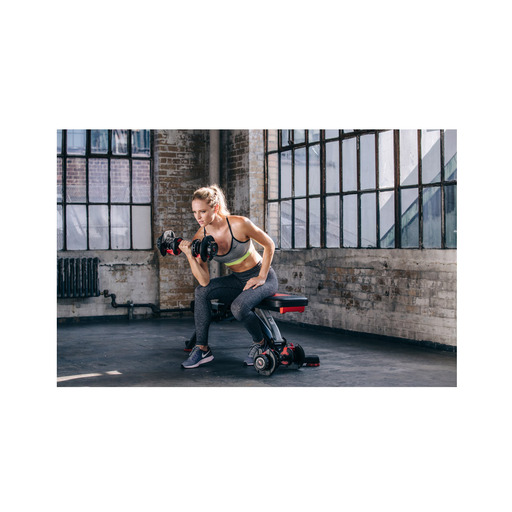 Bowflex 5.1s Multi-Position Bank