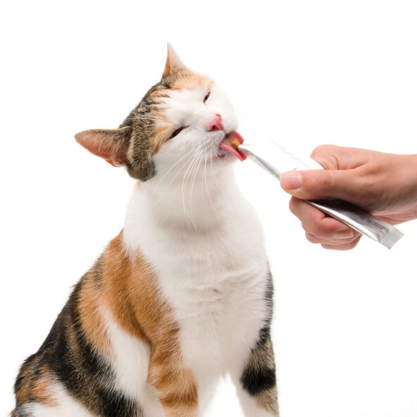 Katzensnack Creamy Huhn, 50 Stück