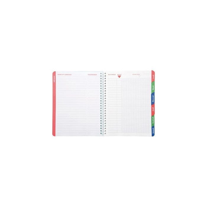 Quaderno - Standard - Rilegatura a spirale - Blu - Formato standard - Pratico per la scuola
