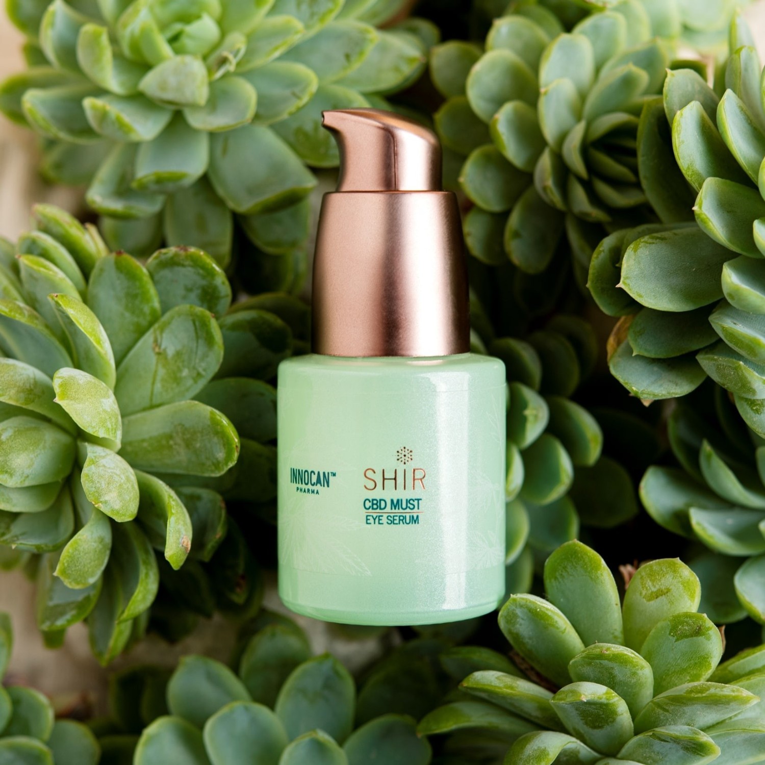 SHIR BEAUTY Serum contour des yeux concentré en CBD