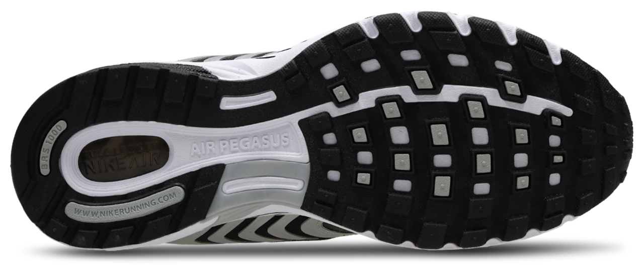 Nike Pegasus 2005