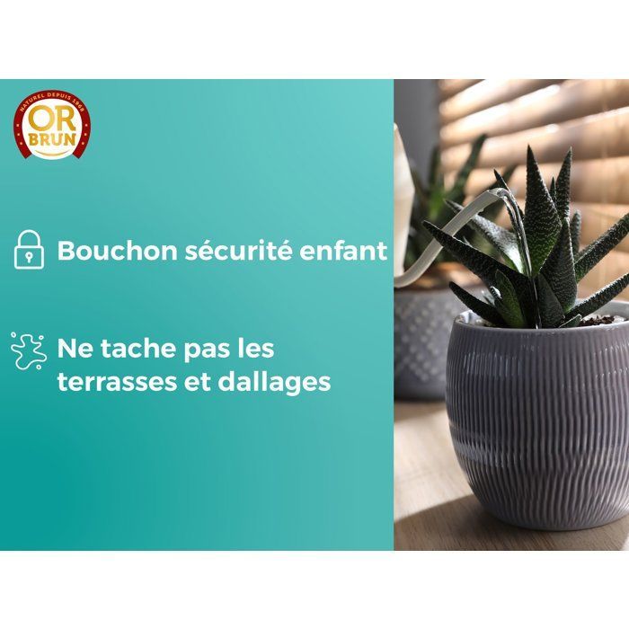 Engrais cactus & plantes grasses - OR BRUN - OBRECLCACTUS250 - 250 ml - Enrichit les plantes - Fabriqué en France