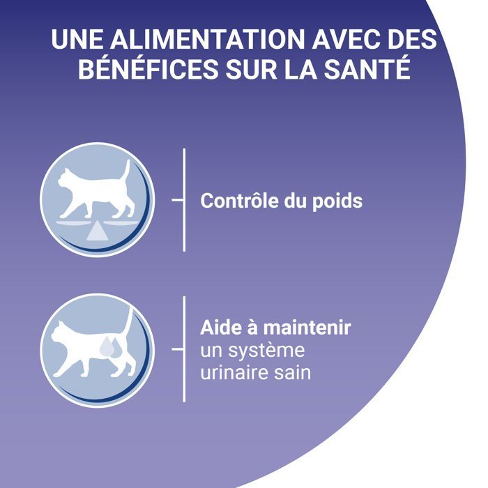 PURINA ONE Gesteriliseerd Kattenvoer - Diverse Smaken - 80 x 85 g - Verse Zakjes voor Volwassen Katten