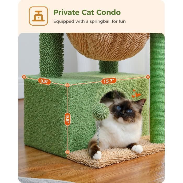 PAWZ Road Arbre a Chat Cactus avec Grand Condo, tour à griffer & Arbre à Chat avec Hamac et Perchoir de 83 cm, Vert
