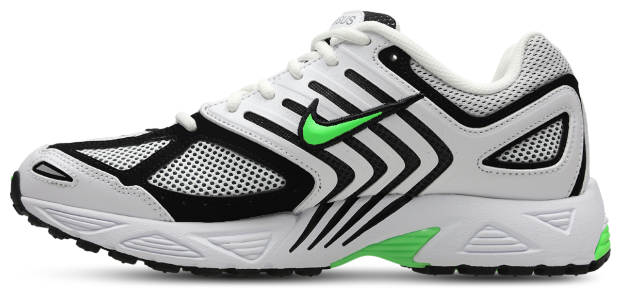 Nike Pegasus 2005