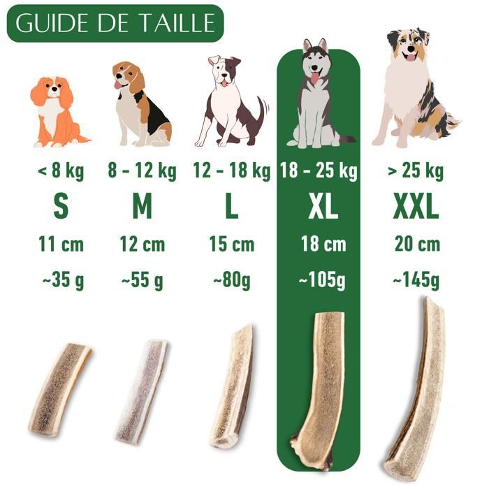 Bois de cerf pour Chien a Macher TRANCH Taille XL Friandise pour Chiots et Chiens de Tout ges Jouet Mastication 1 pice