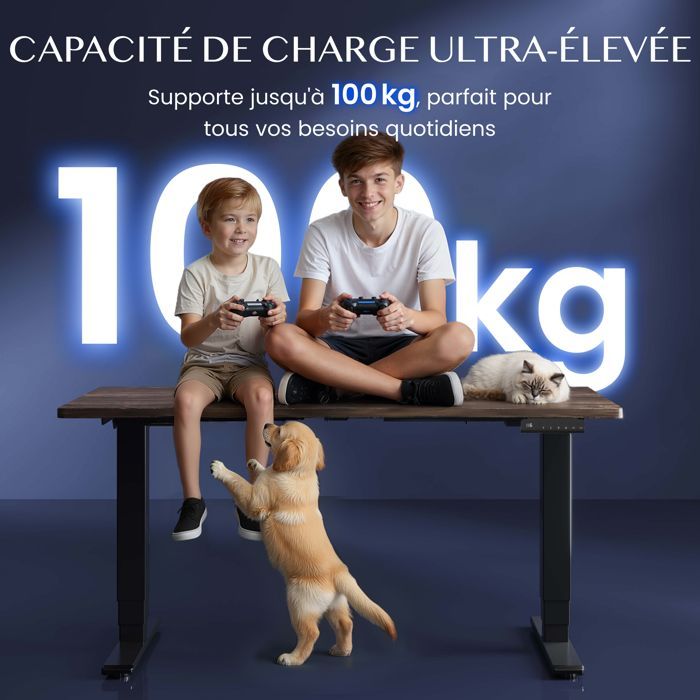 FlexiSpot E5-Lite Bureau Assis-Debout Électrique, 2 Moteurs, 3 Colonnes,Hauteur Réglable,Charge 100 kg,Mémoire, Anti-Collision, Noir