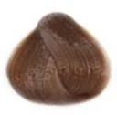 BELANGRIJKE FACTOREN Max Color Plantaardige haarkleur 14 Goudblond 140 ml