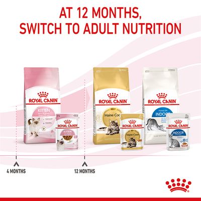 Royal Canin Kitten σε σάλτσα