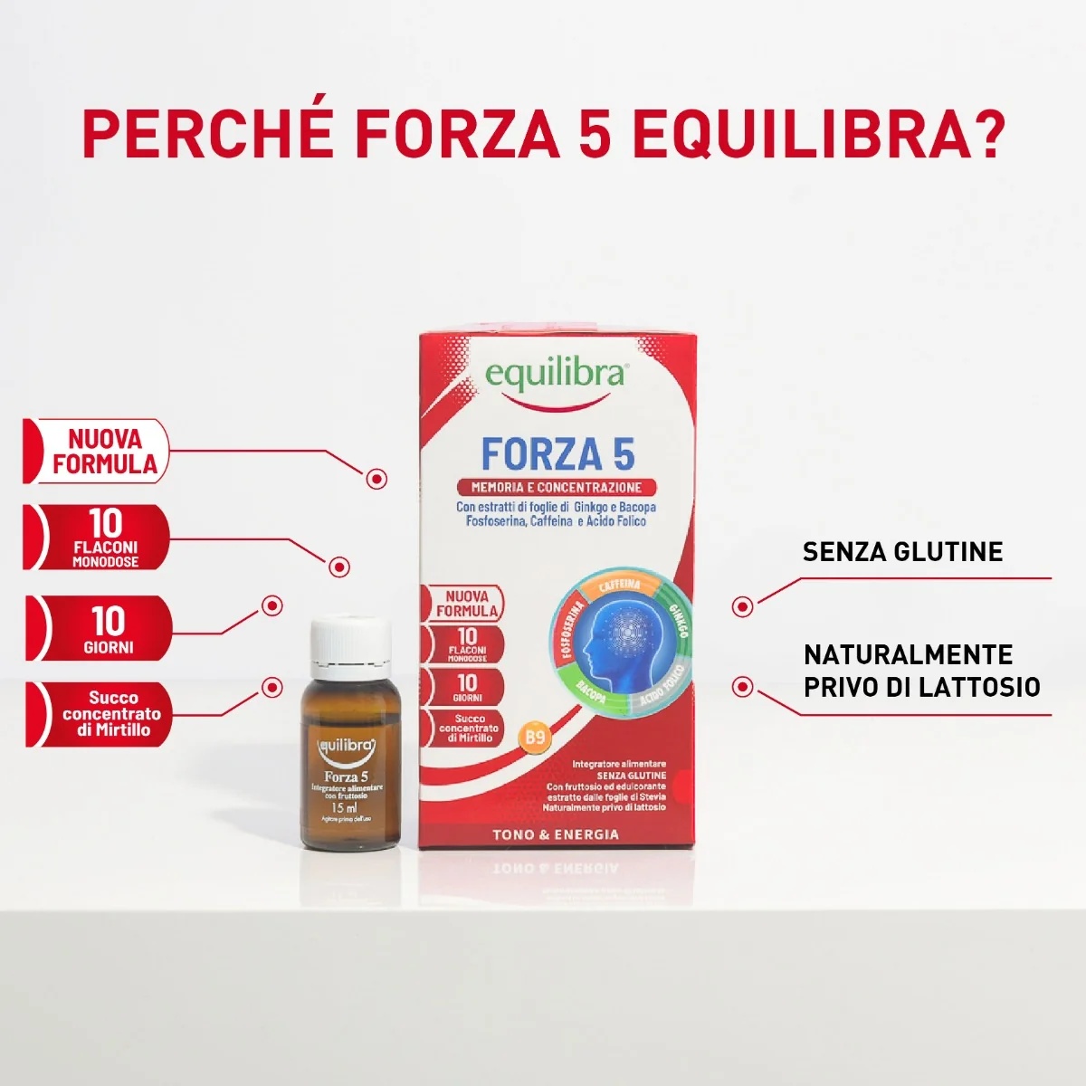 EQUILIBRA Equilibra Forza5 10 pudelit Mälu ja keskendumisvõime