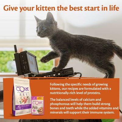 Wellness Core Purely Paté Nassfutter für Katzen