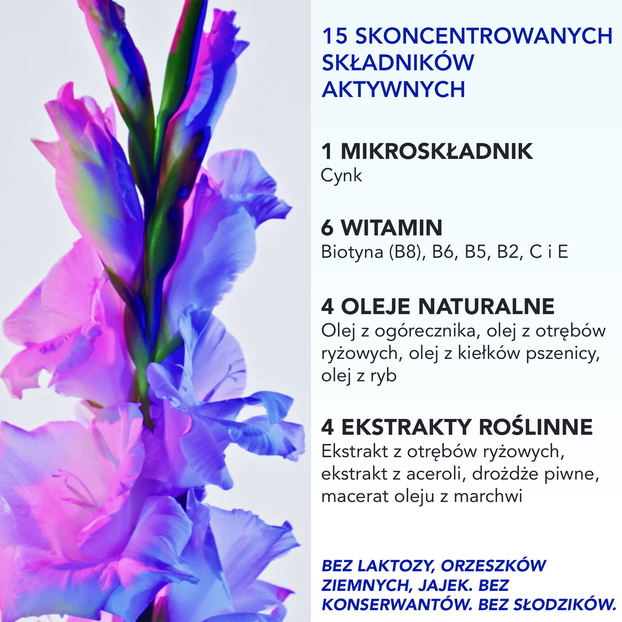 Phyto Paris PHYTOFANÈRE