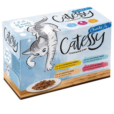 Catessy påsar, sparpaket 48 x 100 g