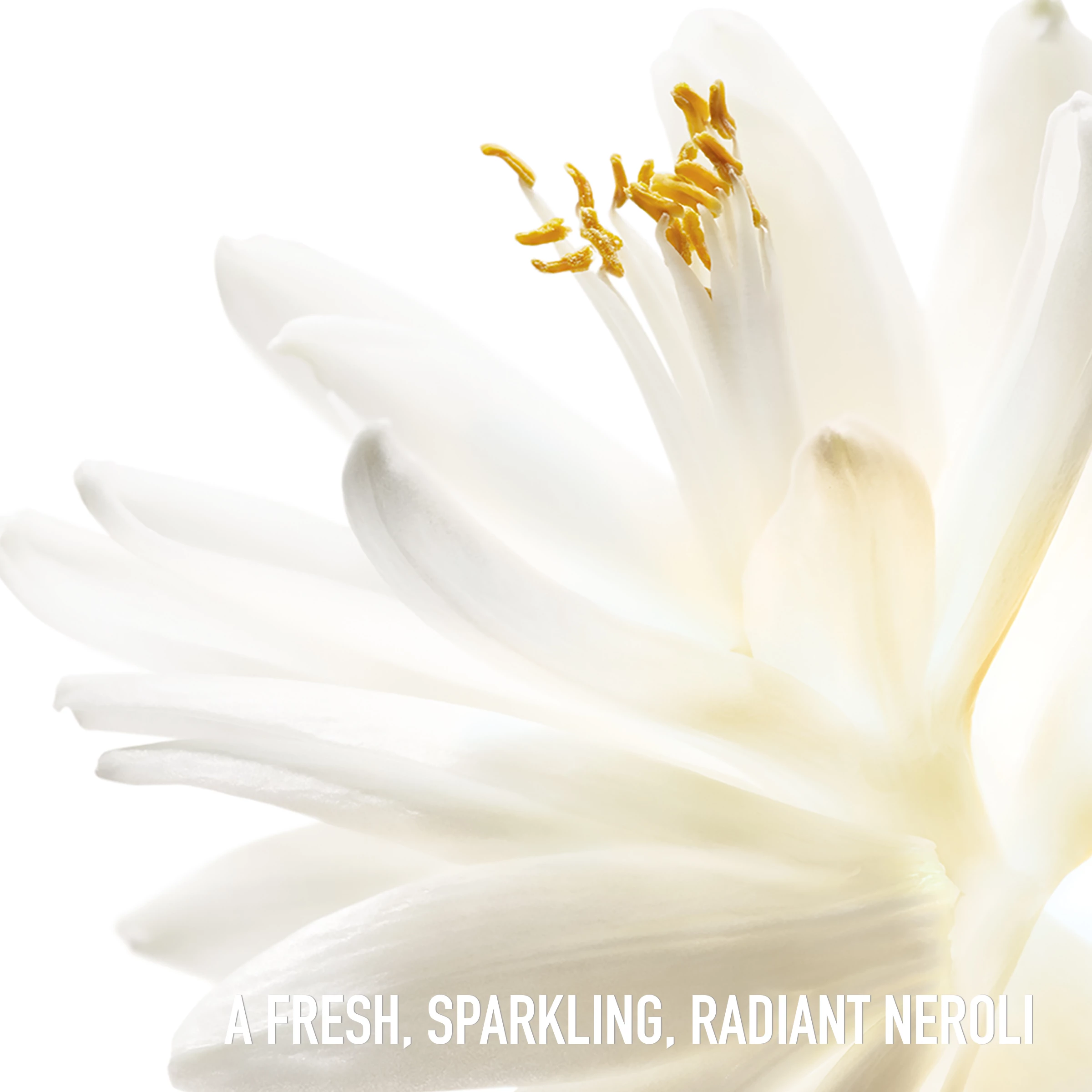 J'adore EDT Roller-Pearl 20 ml - DIOR