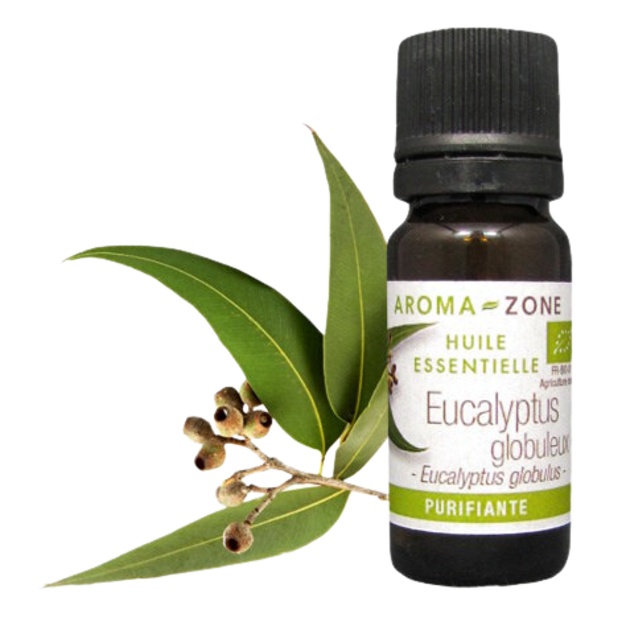 Biologische etherische olie van Eucalyptus globulus 10 ml