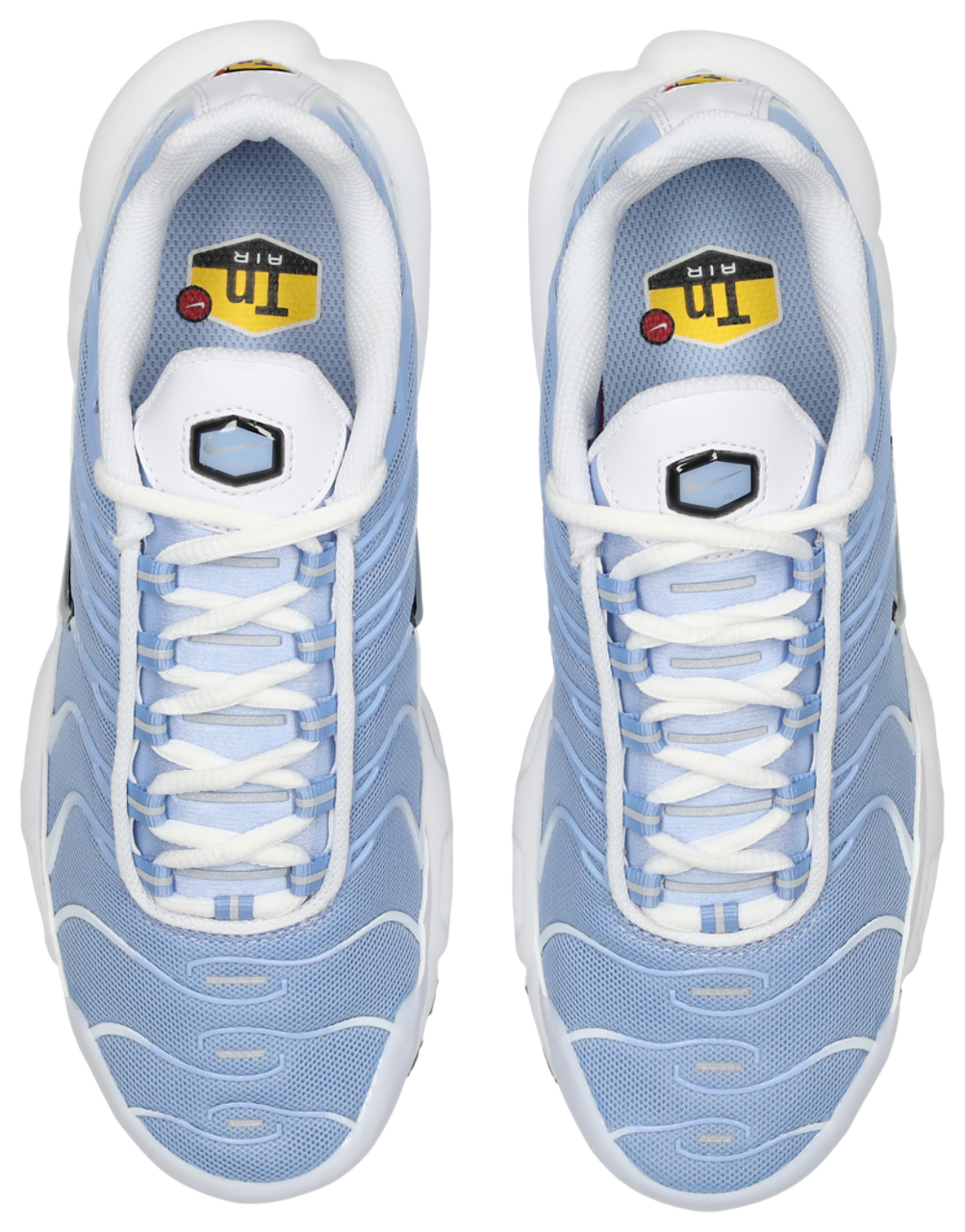 Nike Air Max Plus Body Fade Tuned