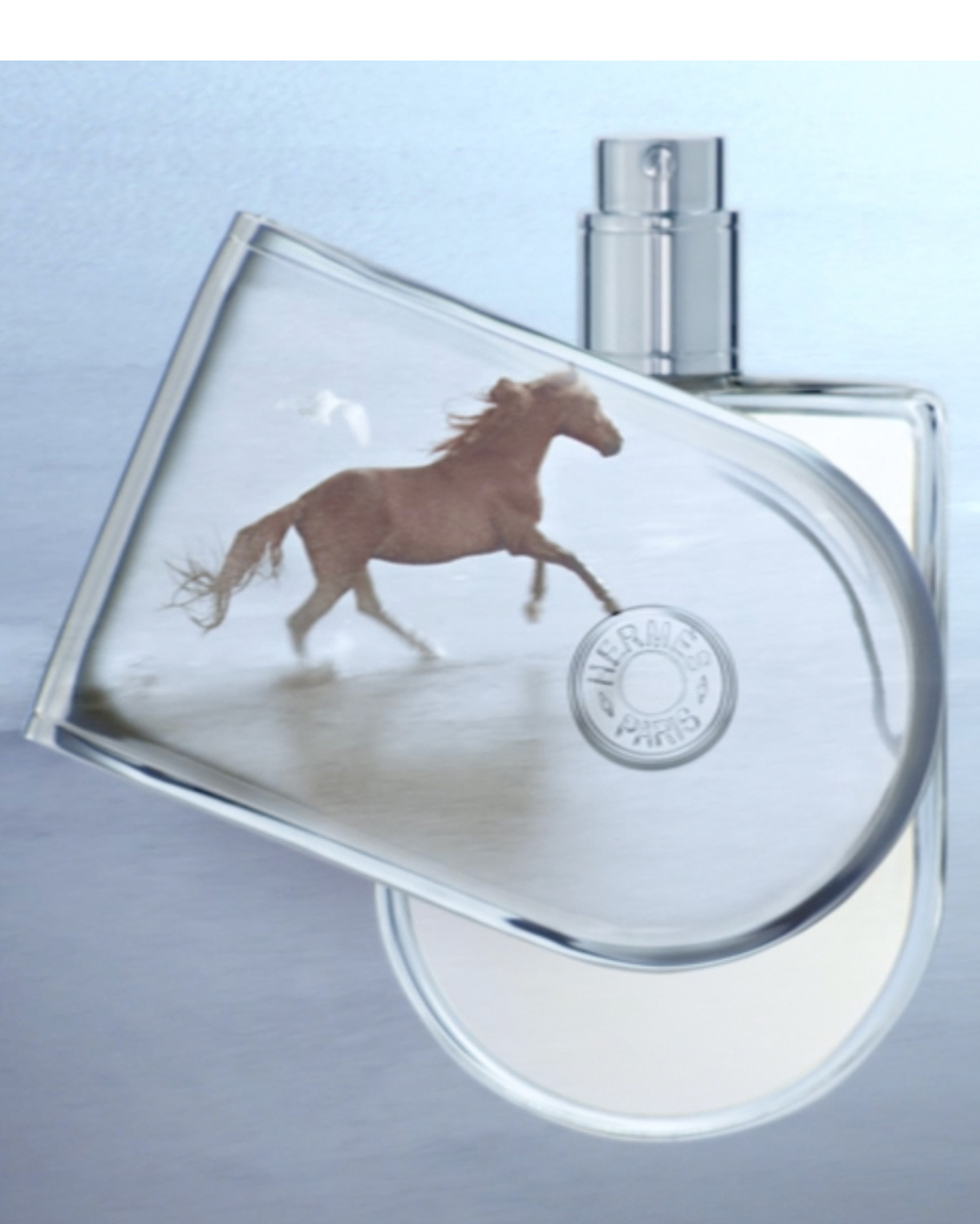 HERMÈS VOYAGE D'HERMES EAU DE TOILETTE VERSTUIVER
