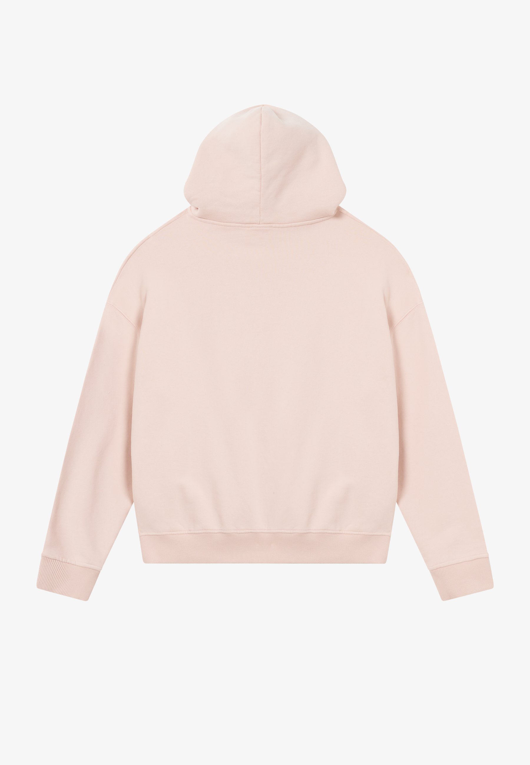Sweat-shirts à capuche BLKVIS