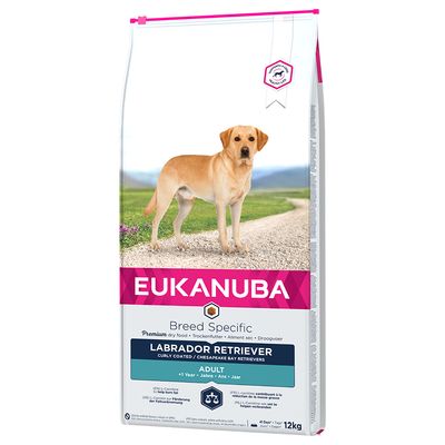 Labrador Retriever adulto di Eukanuba