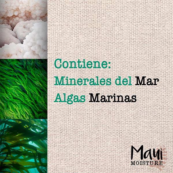 Sea Minerals Shampoo | 385ML